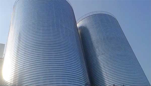 阿勒泰2座混凝土高架卷板仓